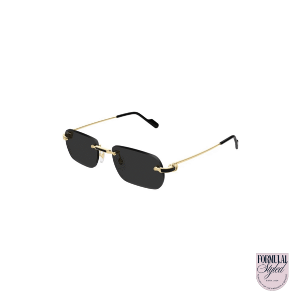Cartier 'CT0498S Rectangle' Sunglasses