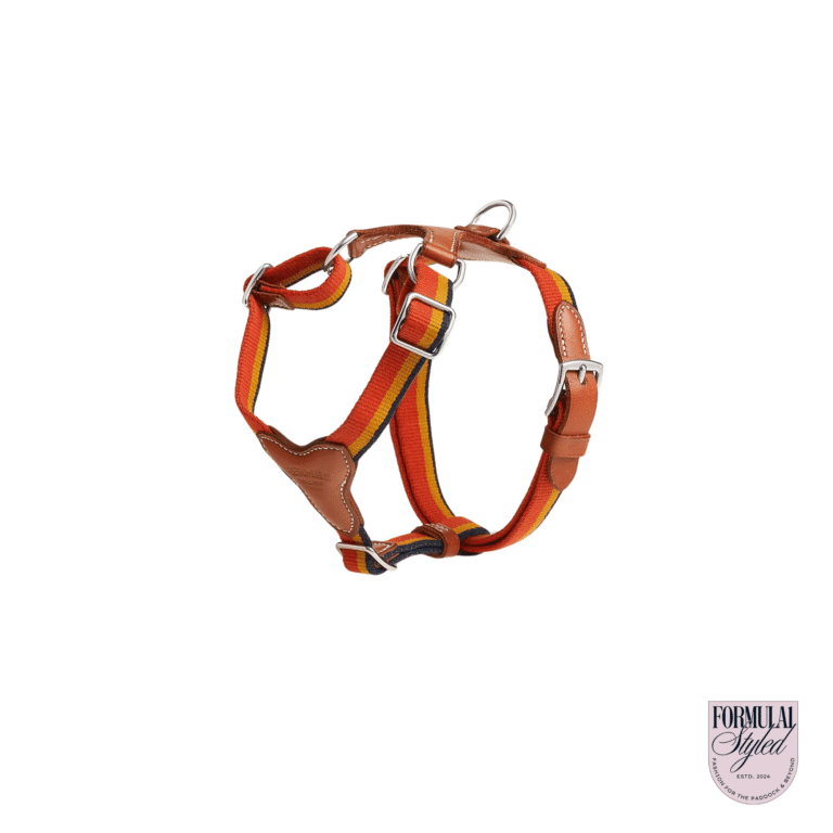 Hermès ‘Rocabar’ Dog Harness